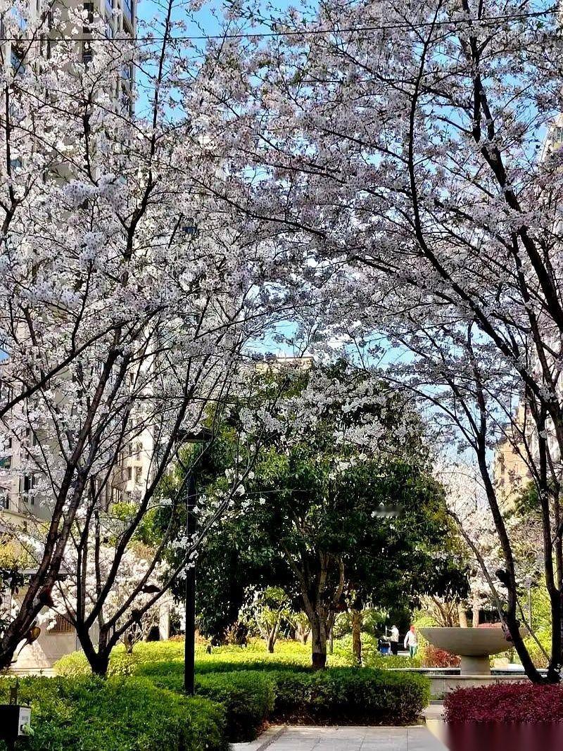 一位母亲在社交平台上甩出的“六不娶”清单，像是一块巨石砸进了平静的水面，直接激起