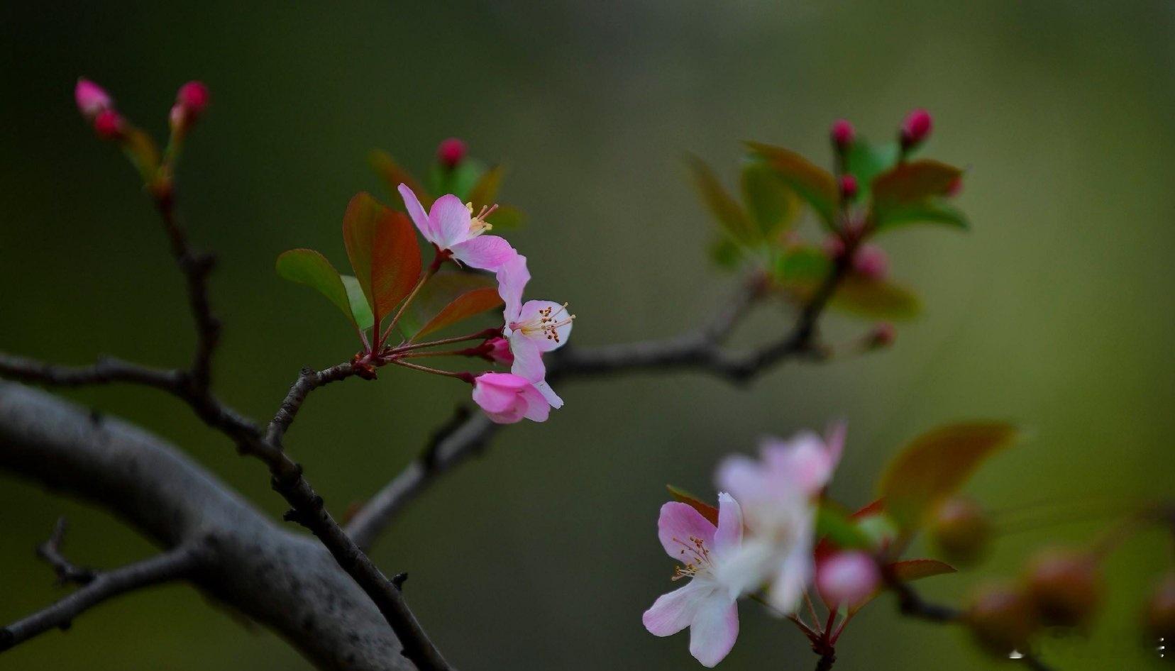 早安早安,新的一天治愈不开心人生感悟人生微语早安心语情感语录每天说早安心情日记