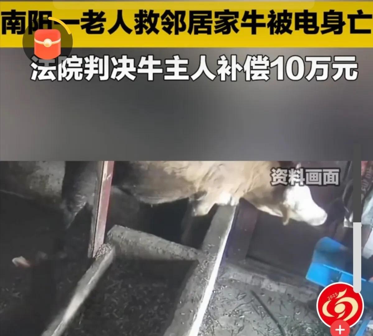 河南南阳，一68岁老伯半夜听到邻居家老黄牛，嗷嗷直叫，他担心出事，顶着暴雨去看看