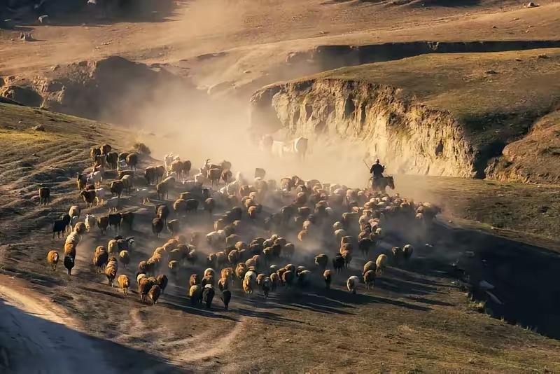 最近这段时间，内蒙古阿巴嘎旗发生了两件让人又气又无奈的事：上个月13号那天，当地