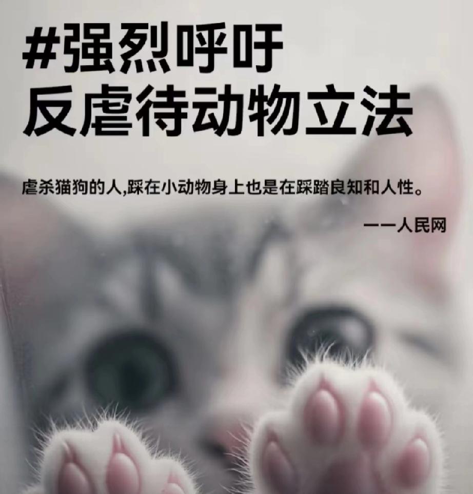 还是人吗？三年间杀害至少1500只猫！”平顶山37岁男子被邻居张女士盯上，不是他