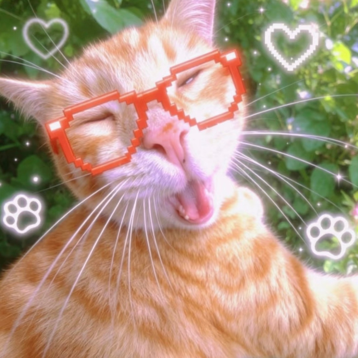 抽象丨搞怪丨猫猫丨情？头丨双人头像每天对自己好一点也算是帮助穷人了！