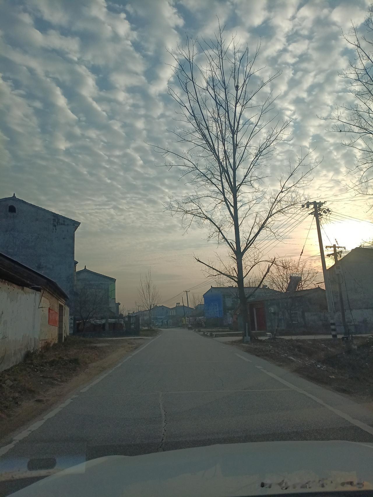 谁的心眼最多：1、属羊：顶多就一个。2、属牛：100个，看着老实，其实精明。