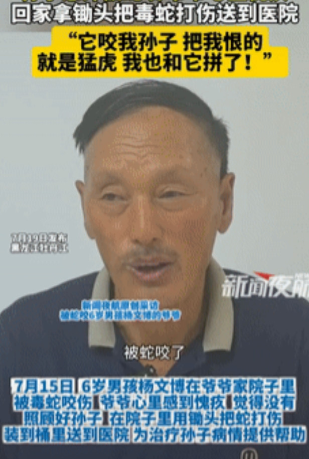 姜还是老的辣！黑龙江牡丹江，一男孩意外被蛇给咬到，爷爷心里就感到很愧疚，二话不说