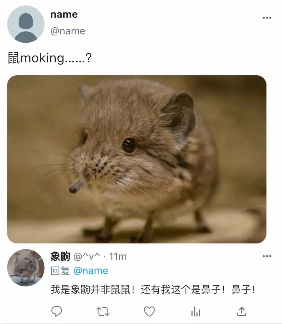 鼠moking.....?meme