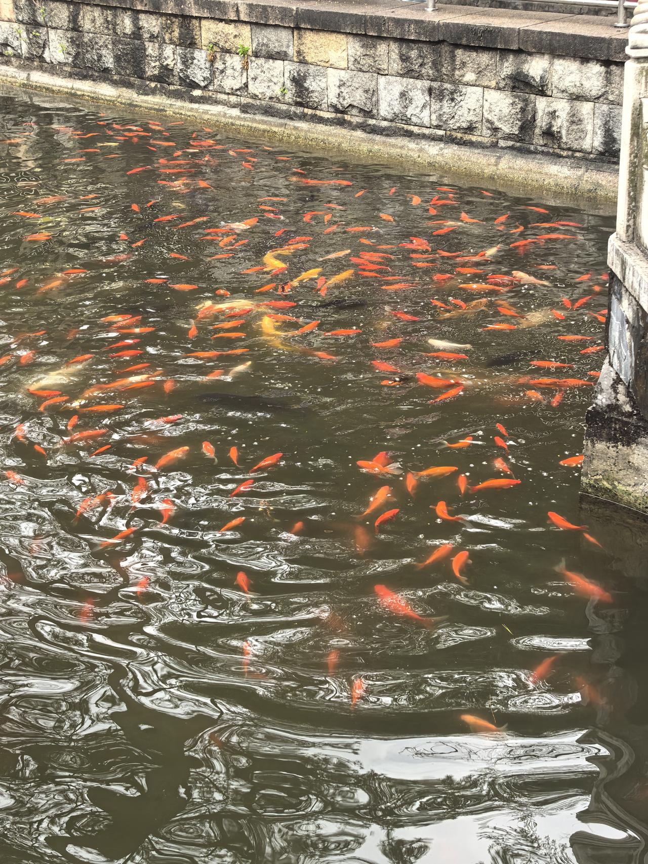 算卦有的时候是不能直接说实话的。今天，家里来了老两口找我算卦的。听别人介绍，说