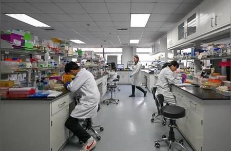 中国又出物理人才，有望冲击诺奖！10月6日物理奖即将揭晓，薛其坤凭量子反常霍尔效