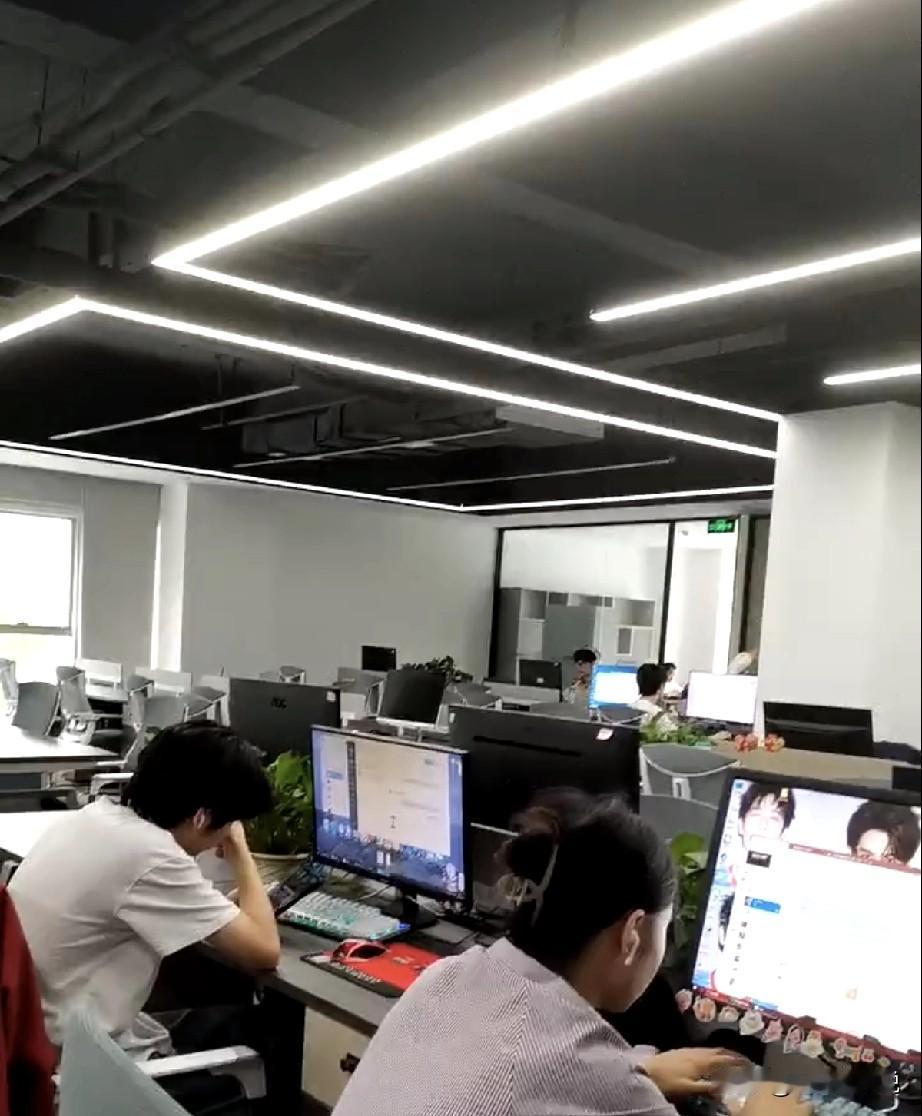 新项目刚交付，一句公司不养闲人，就把项目组新招进来的新人全都给毕业了，这些新人里