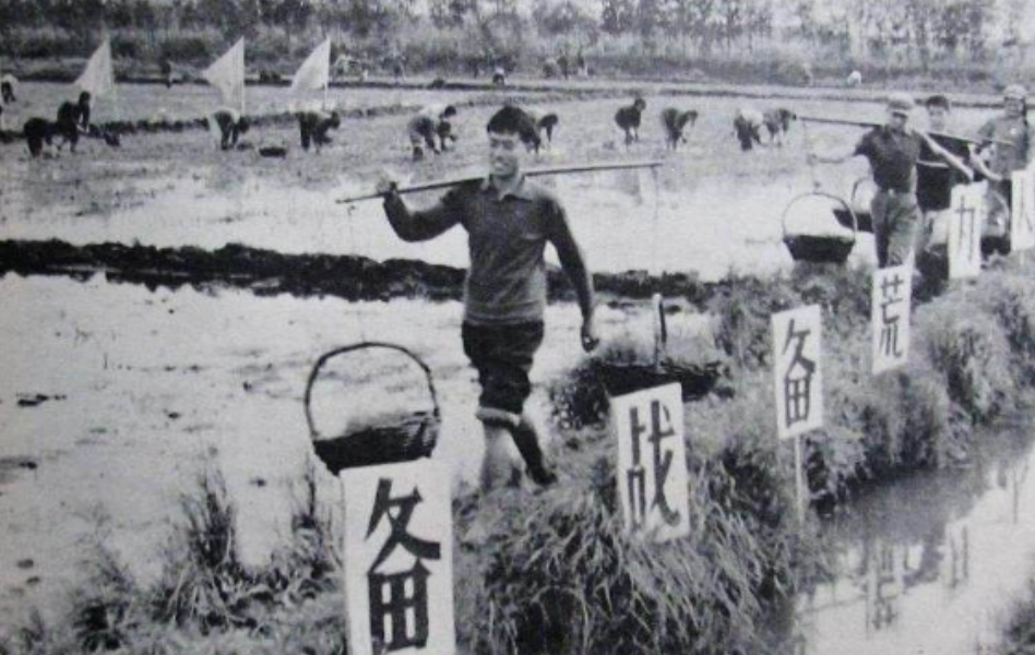 1980年，北京女知青为了返城，狠心抛下丈夫和3岁儿子，不料，43年后她在医院看