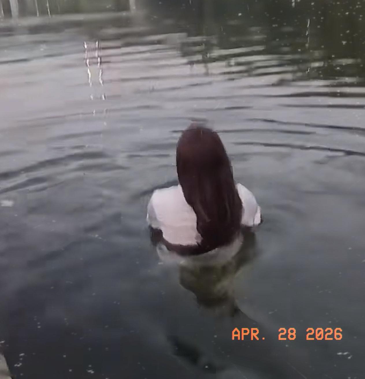 有个姑娘想不开要跳河，被一位大叔拦住了。大叔张口就来：“你反正都不想活了，死