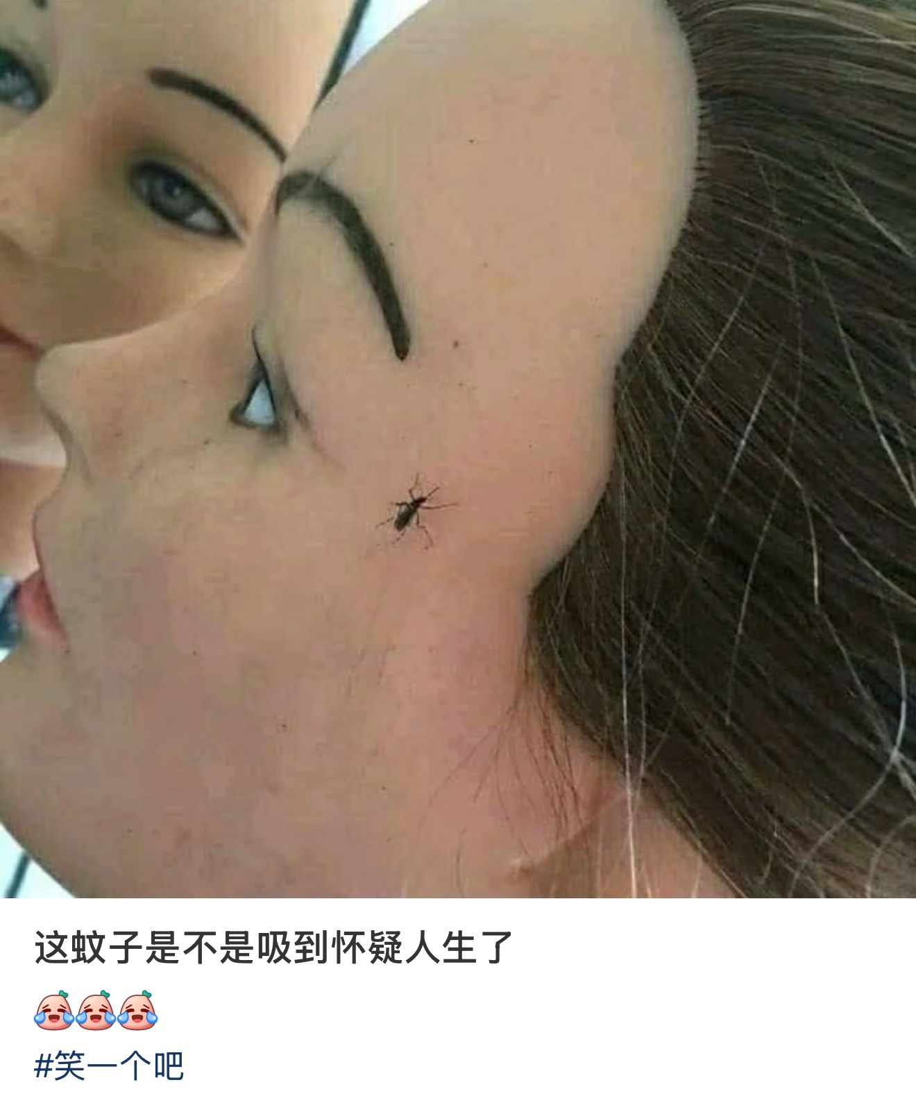 这蚊子是不是吸到怀疑人生了