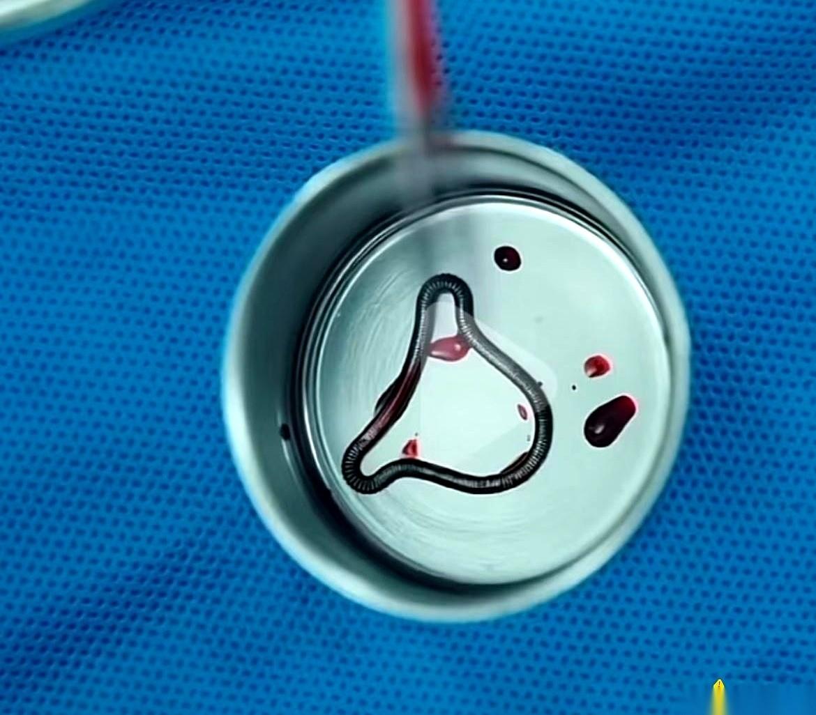 我有时候就琢磨啊，这事儿真有点想不通。一个女人，怀胎十月，孕吐、水肿、耻骨痛，