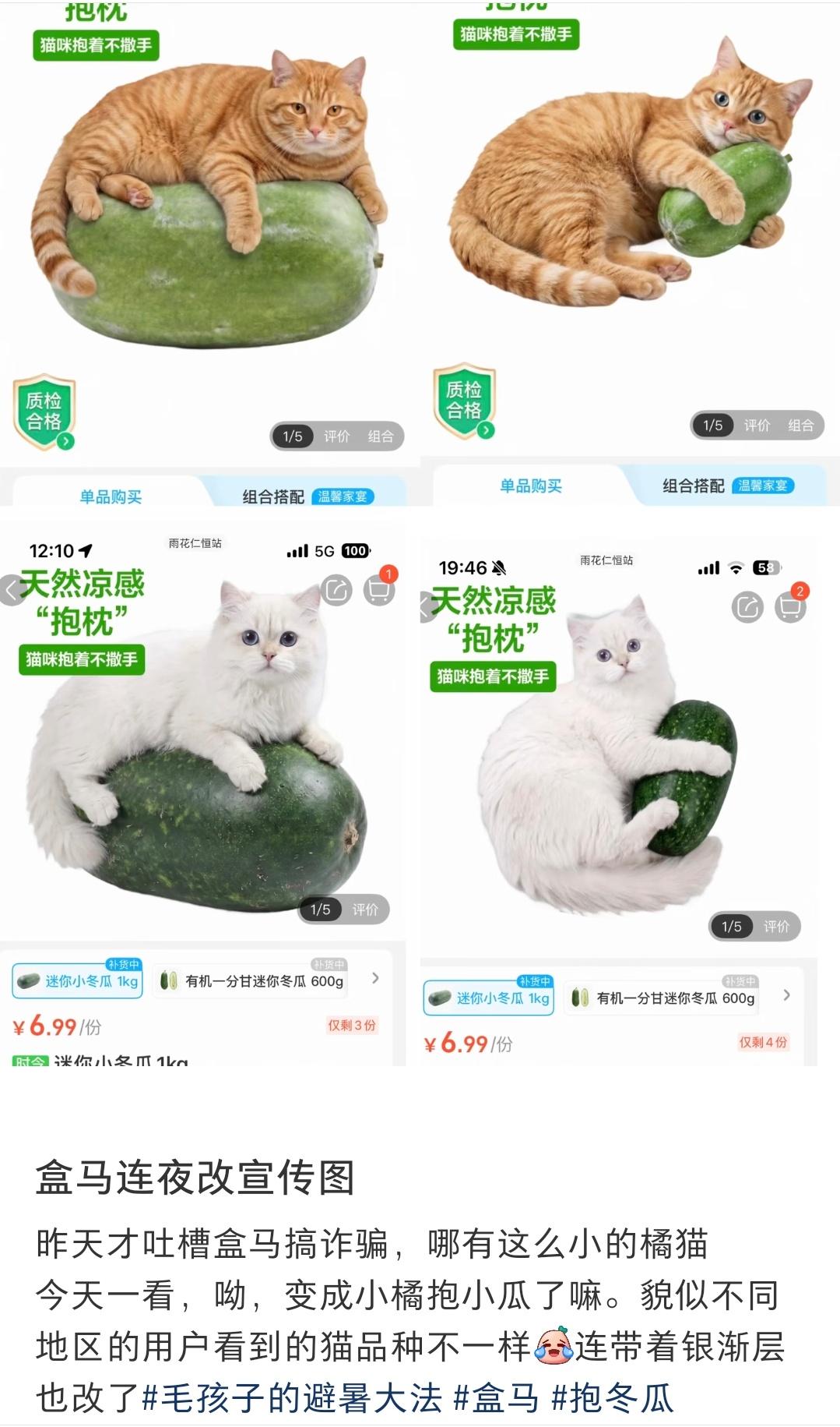 哈哈哈盒马卖的冬瓜，之前图片显得冬瓜太大，收到货却很小，客户不满吐槽。现在把图换