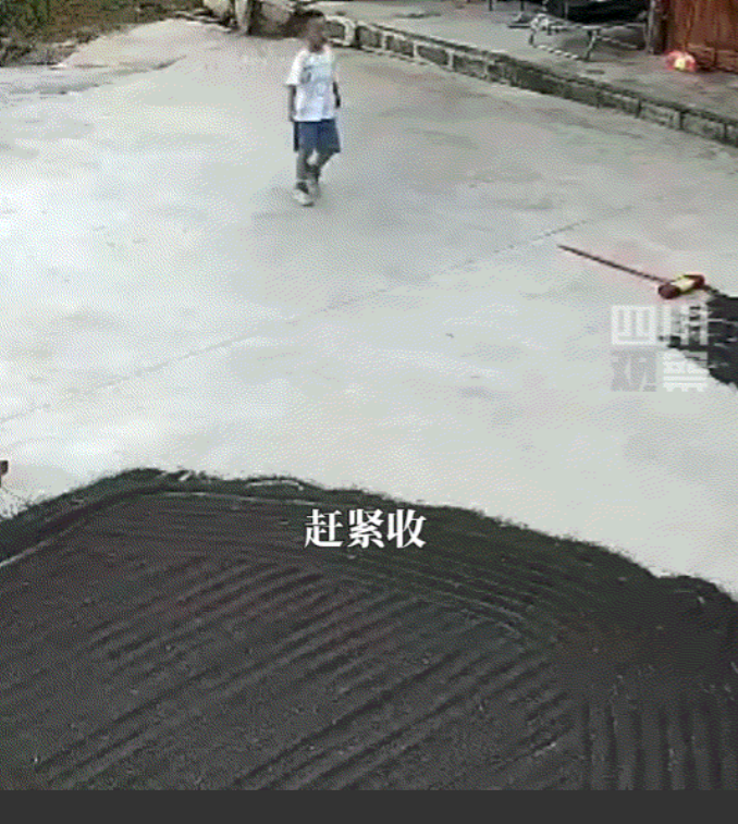 “完全没法解释！”贵州，6岁男孩正在院子玩，突然大叫着跑向奶奶，让奶奶赶紧收菜籽