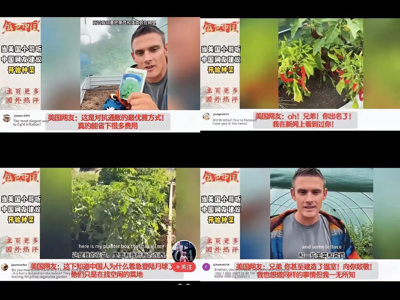 美国小哥后院种菜火了！外国网友笑称：中国人自带种菜DNA最近刷到个超有意思的