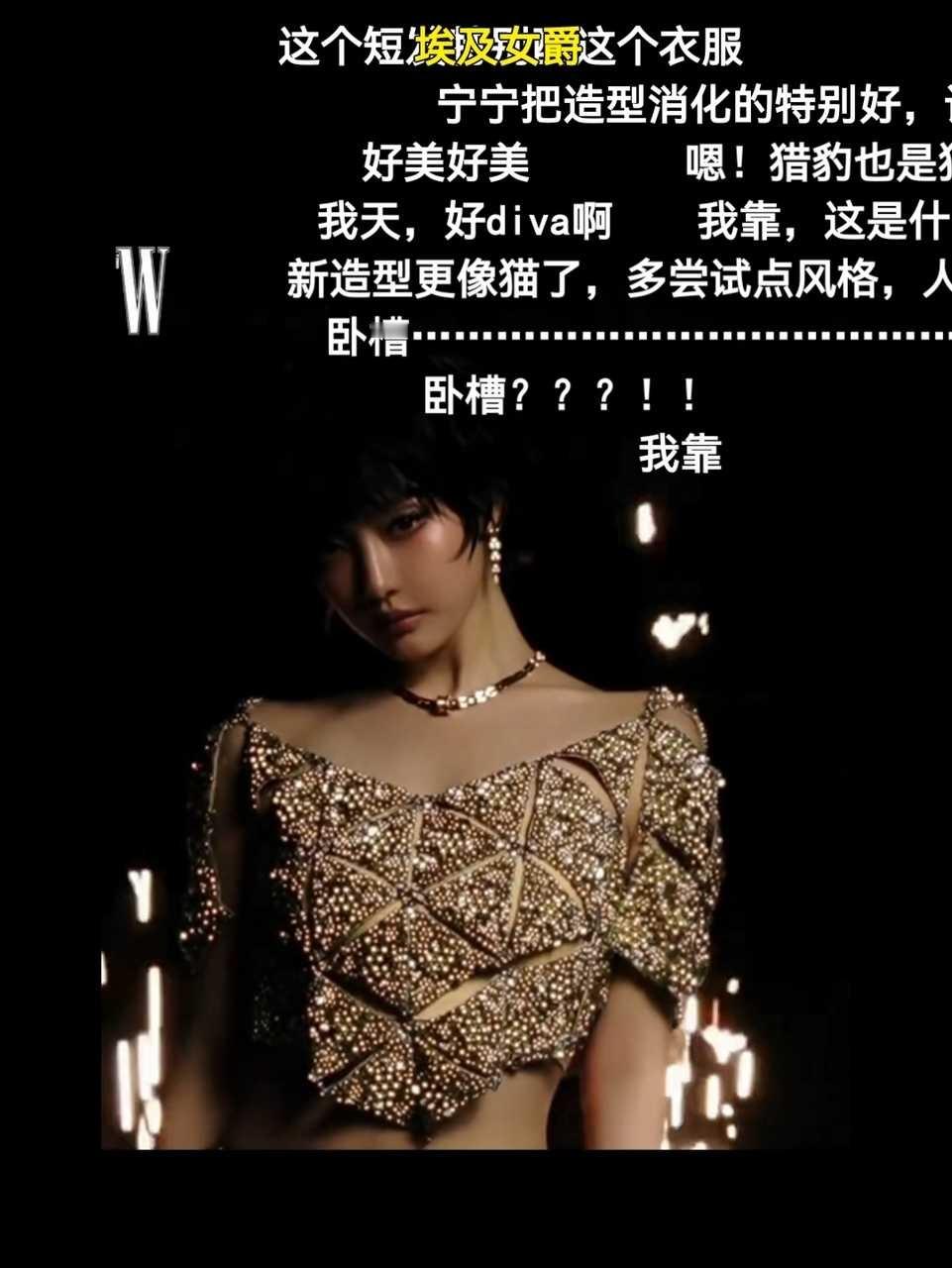 我不行了这个图和这段话的关系是？