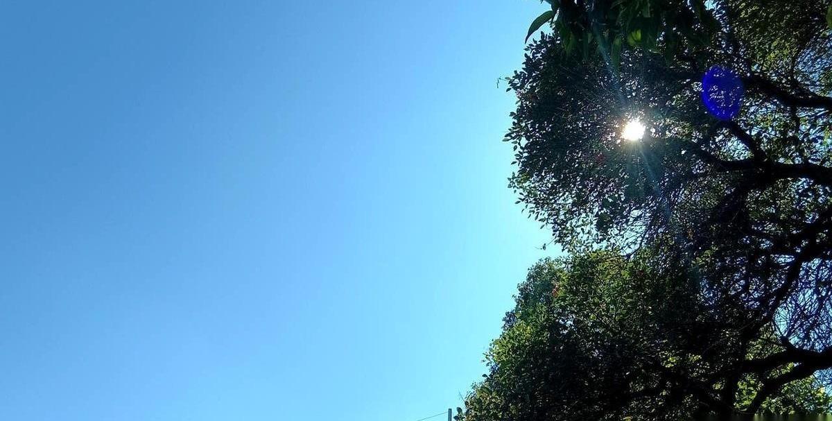 现在想转让一家药店，比登天还难。挂出去半年都没人敢接盘，问题就出在那个曾经最值