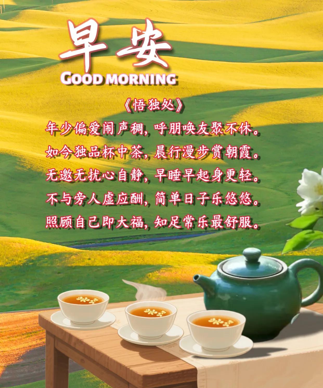 朋友：早安！《悟独处》年少偏爱闹声稠，呼朋唤友聚不休。如今独品杯中茶，晨行