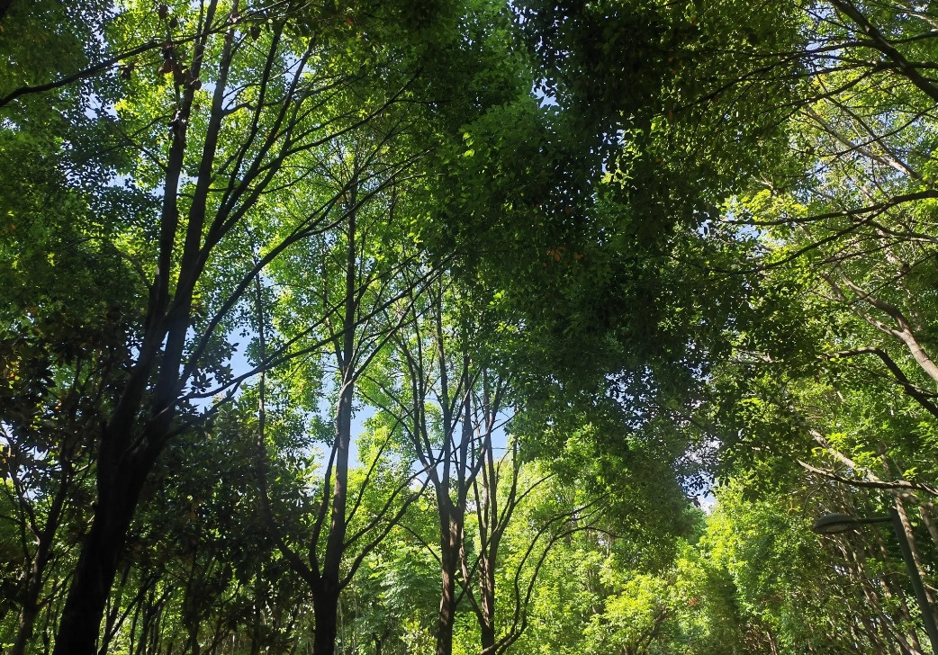 昆明：20℃的夏天，全国最佳避暑胜地！