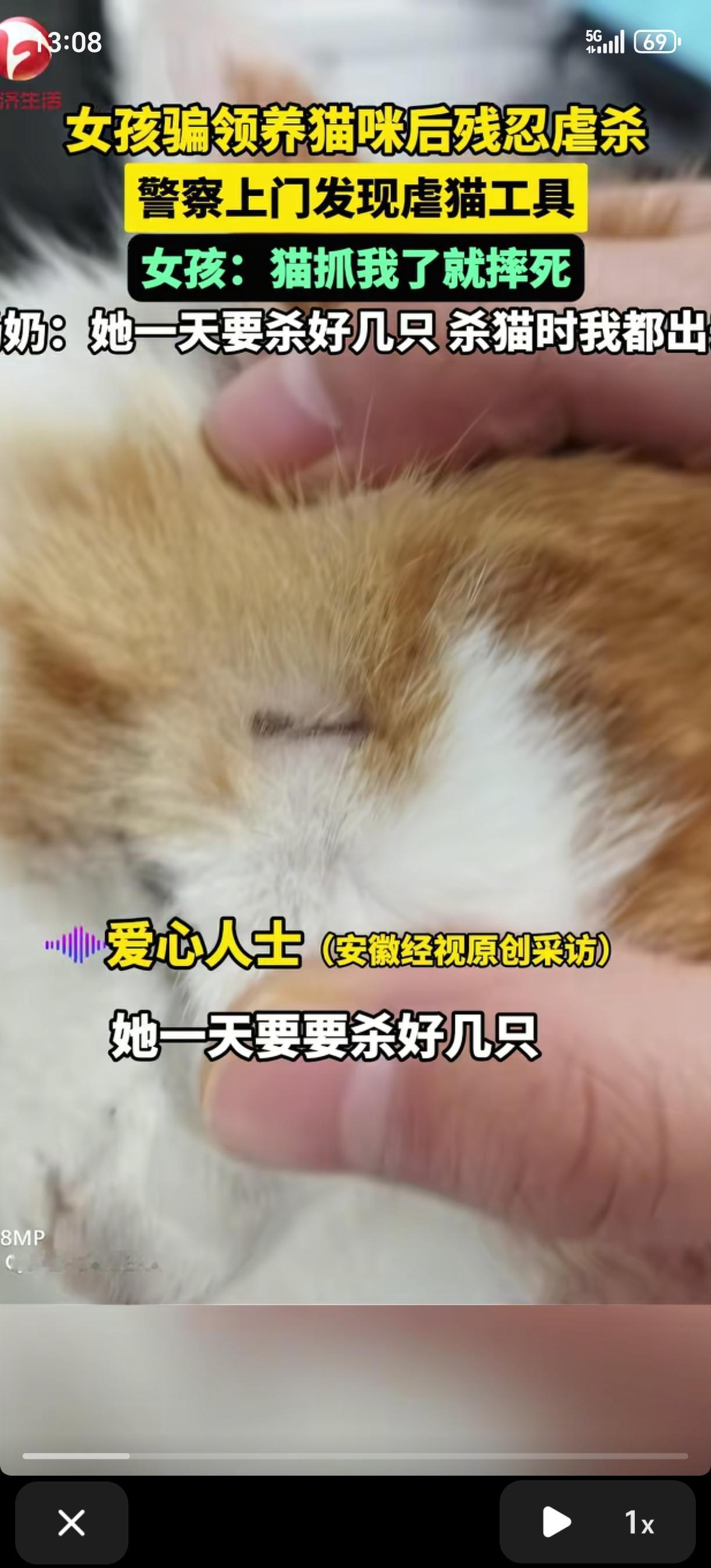 太残忍了！山东菏泽，一女孩在网上假装喜欢猫来骗领养，结果回家后就虐杀，她奶奶称，