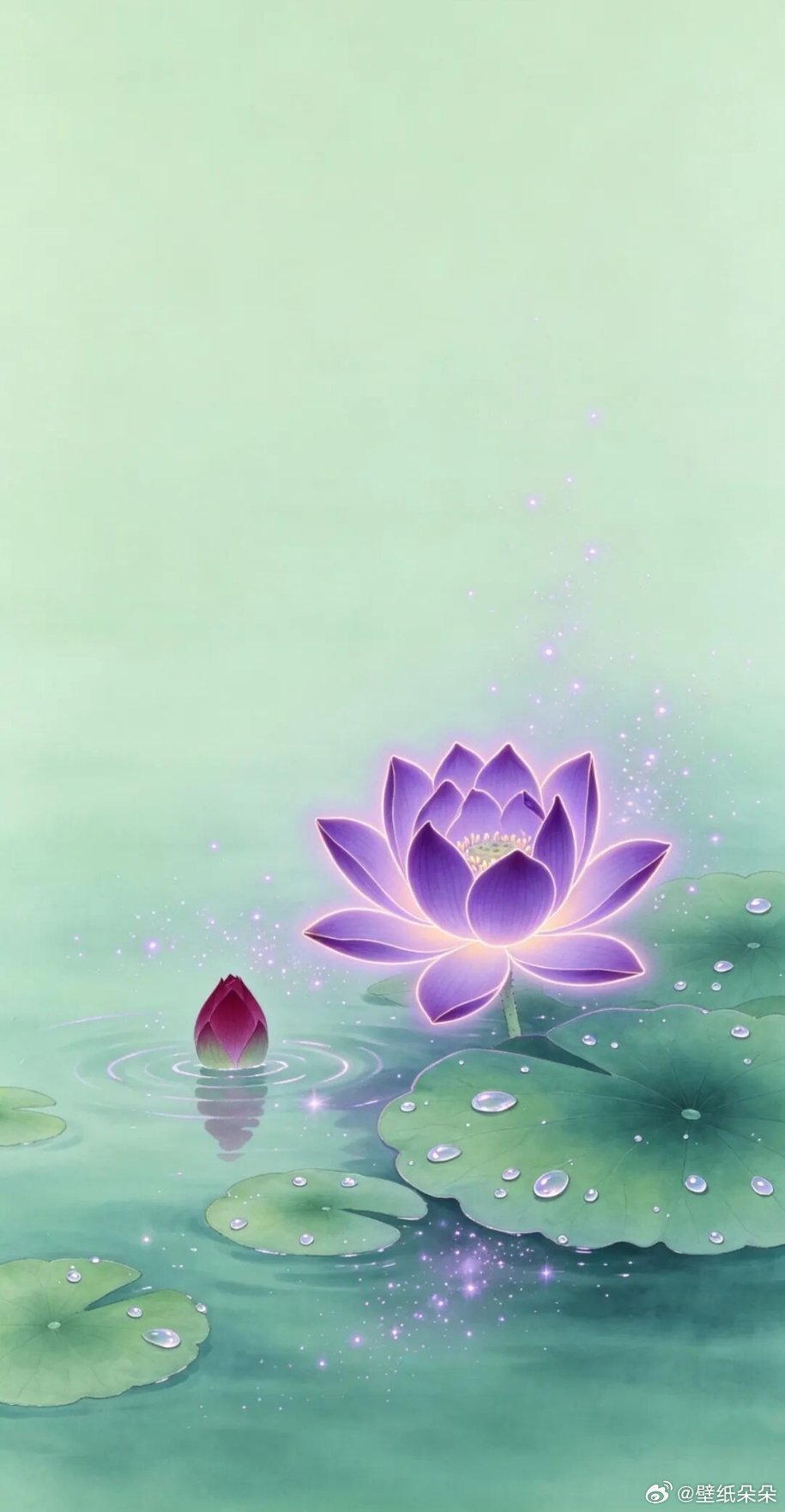 清香淡雅荷花主题锁屏壁纸...🪷᭄ེུ🪷ུ