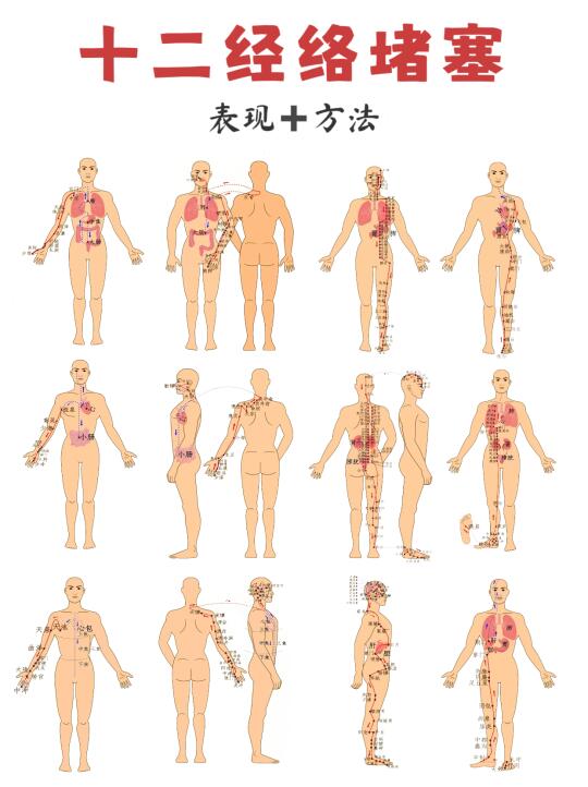 💥12 经络堵塞信号 + 梳通秘籍