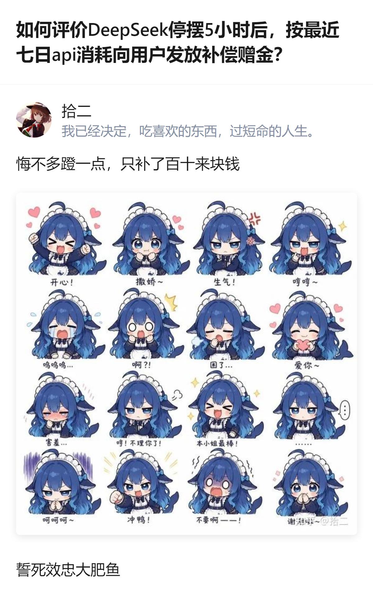 DeepSeek针对2026年10月15日的5小时服务故障，按用户账号10.8-