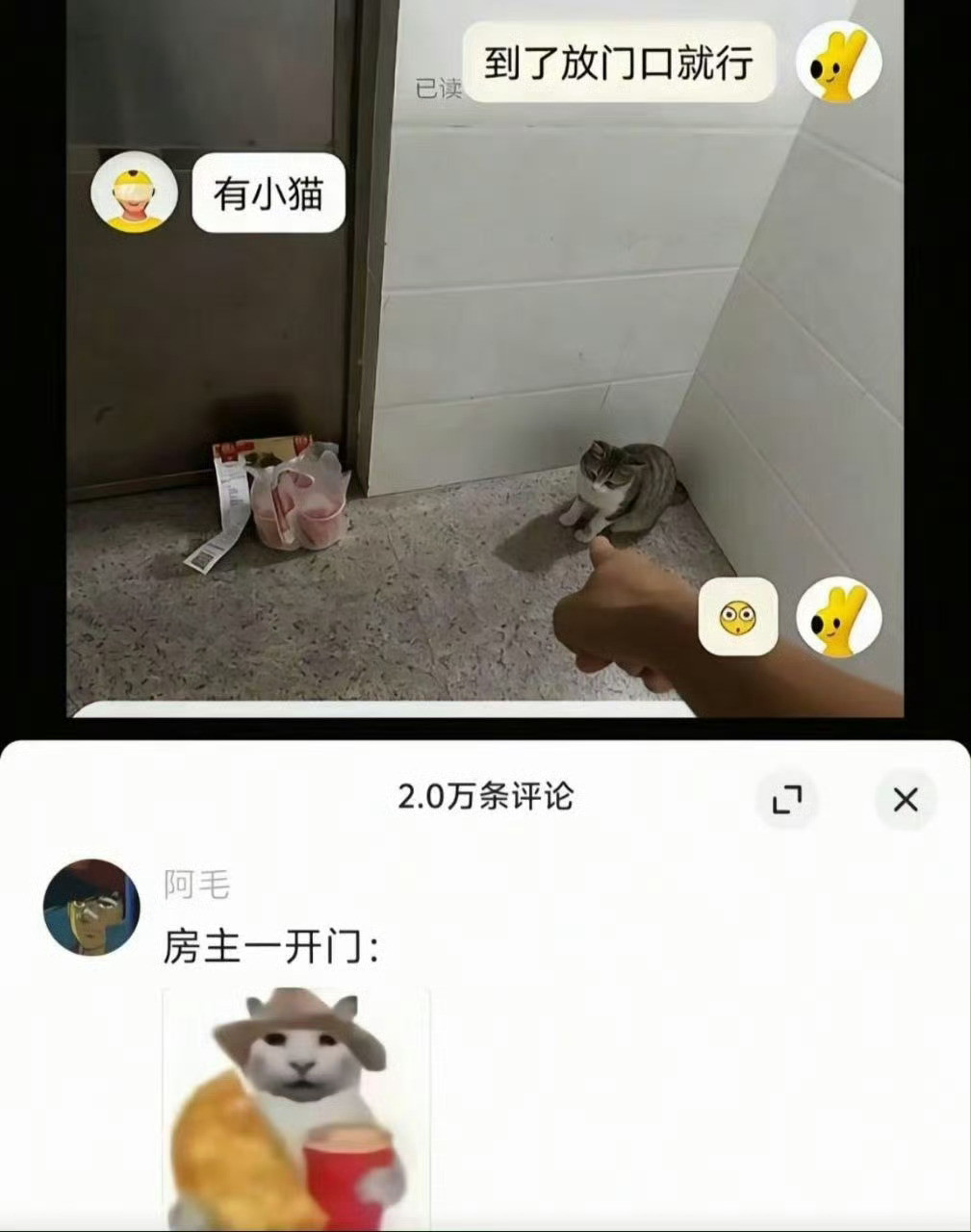 🐱:干嘛​​​