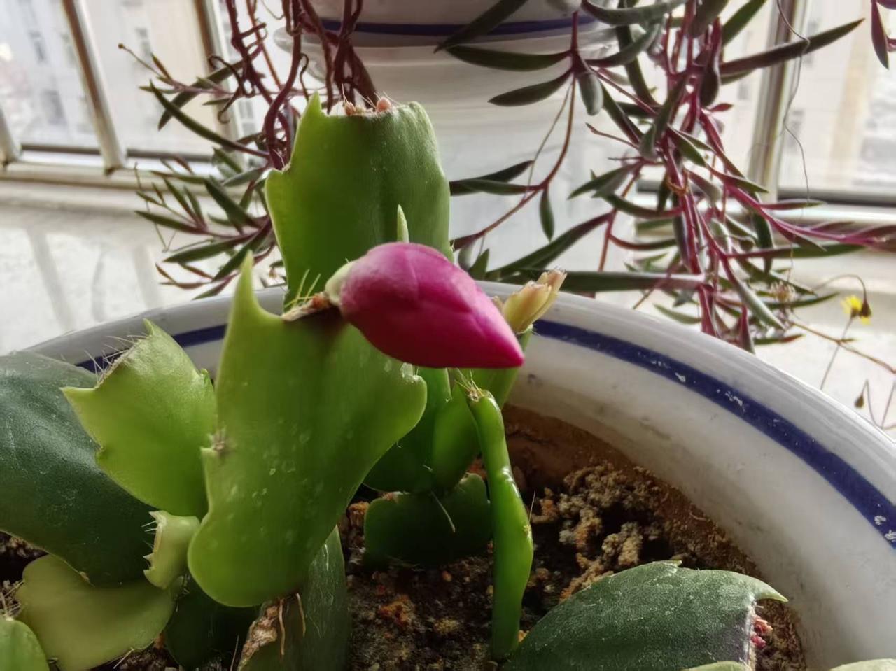 什么是福气？54岁以后你能拥有这些，就是福气满满了：1、能够咽的下、吃得饱、