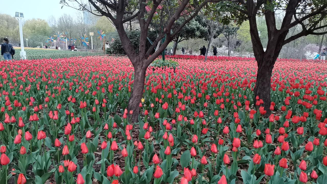 一觉醒来，又有巨头暴雷！1、昨夜美股调整，纳指跌了0.89%，标普跌0.41%
