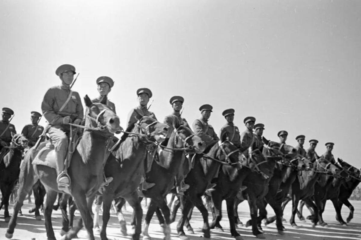 原来解放军在青海保留骑兵根本不是为了应付常规任务，就是留着当极端环境下的“备用手