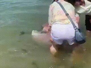 两女子赶海发现一个超大水母，直接跑到海里把水母拉上岸，无知有多可怕。两名赶海女子