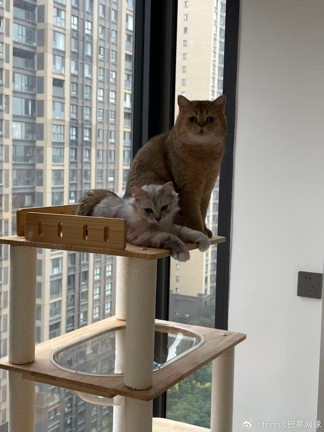 现在是兄妹情深的戏码[doge]​​​