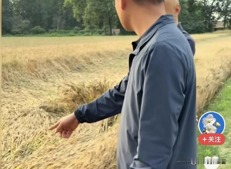这种路，农村原本就没有的，真正的大路开车的，这个农民也不敢种，村民都给它趴了。