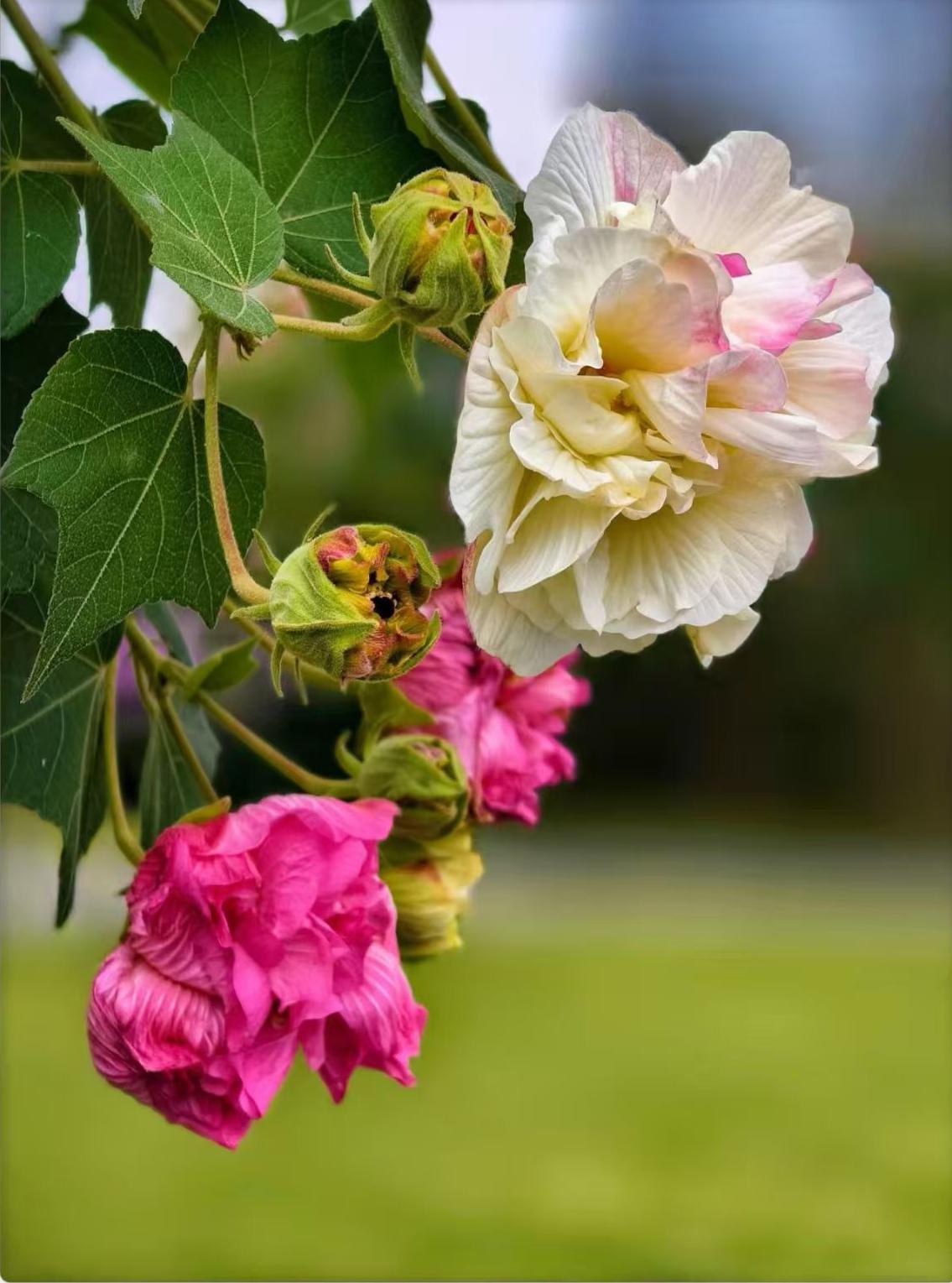 偶尔小病，别在乎它人吃五谷杂粮，难免生百病。偶尔生小病，不要太在乎它。疾