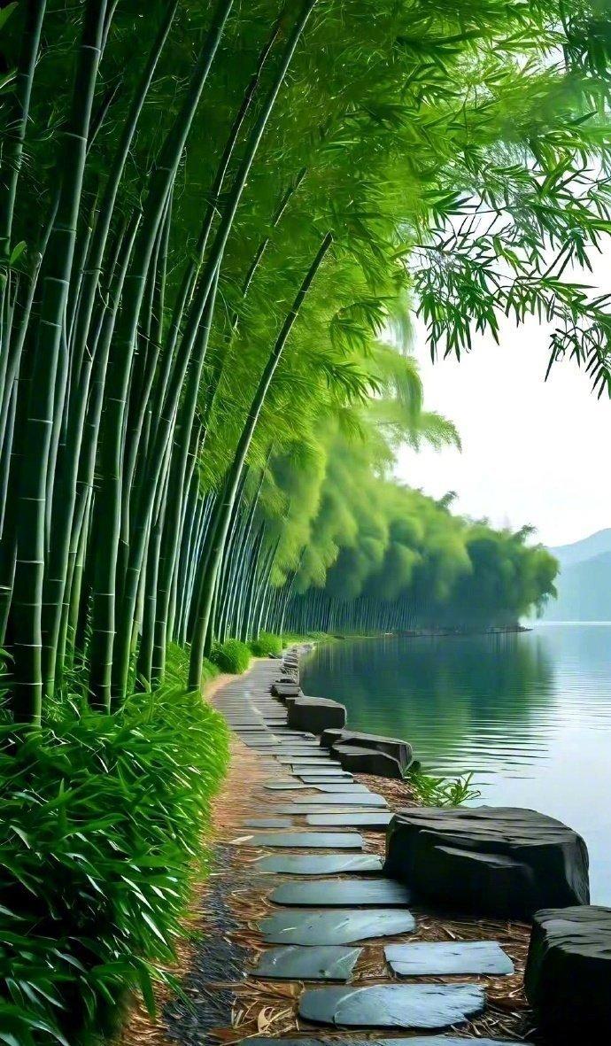 视觉大餐——翠竹，青石，绿水，嫩草，蓝天，白云！