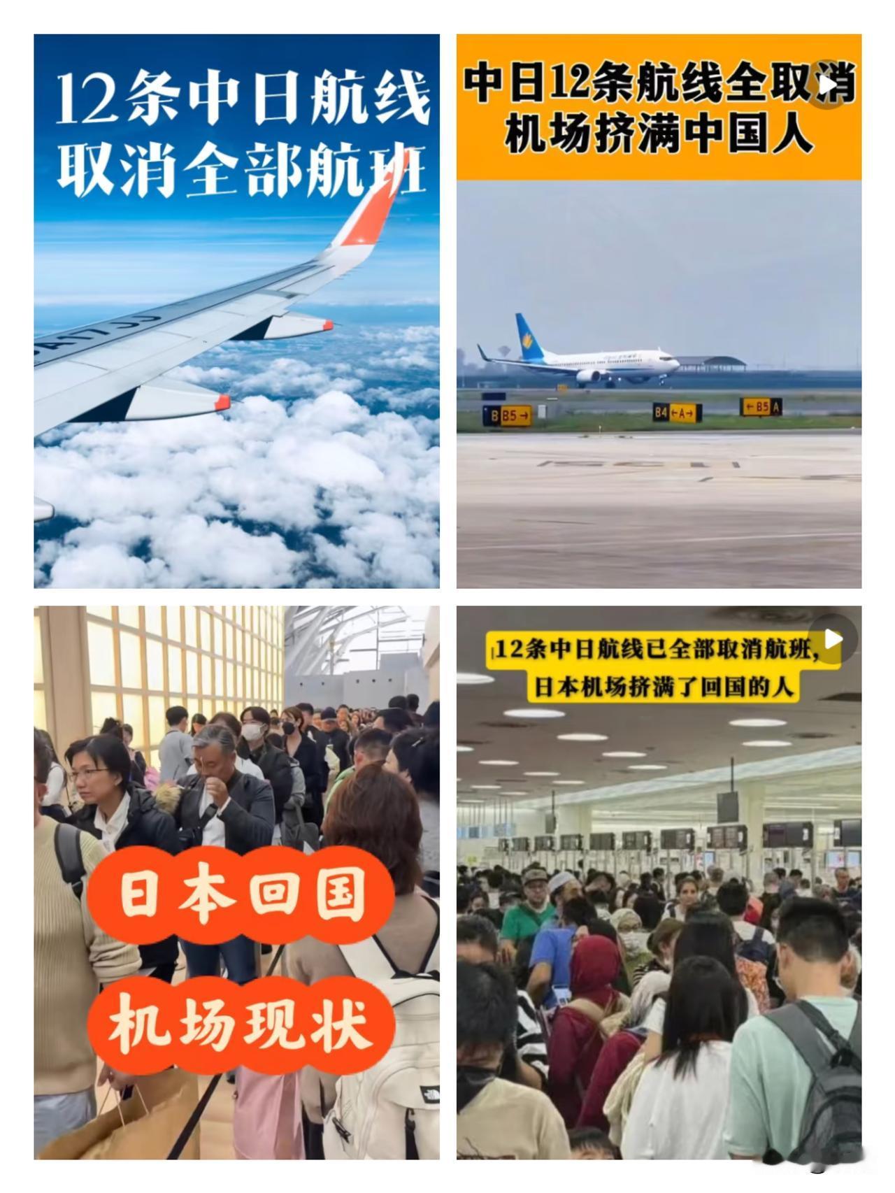 国家三令五申的提醒当耳旁风，现在滞留在日本的游客，怕是哭都没地方哭！12条