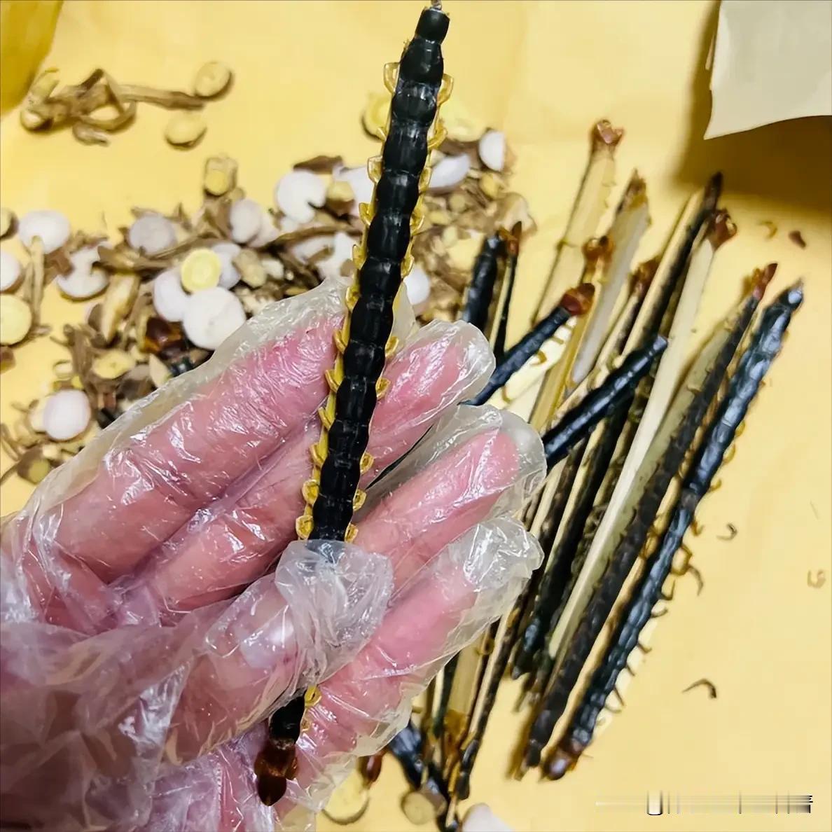 阳痿早泄非“顽疾”！一味中药破瘀通络，唤醒宗筋气血大家好，我是陈大夫。