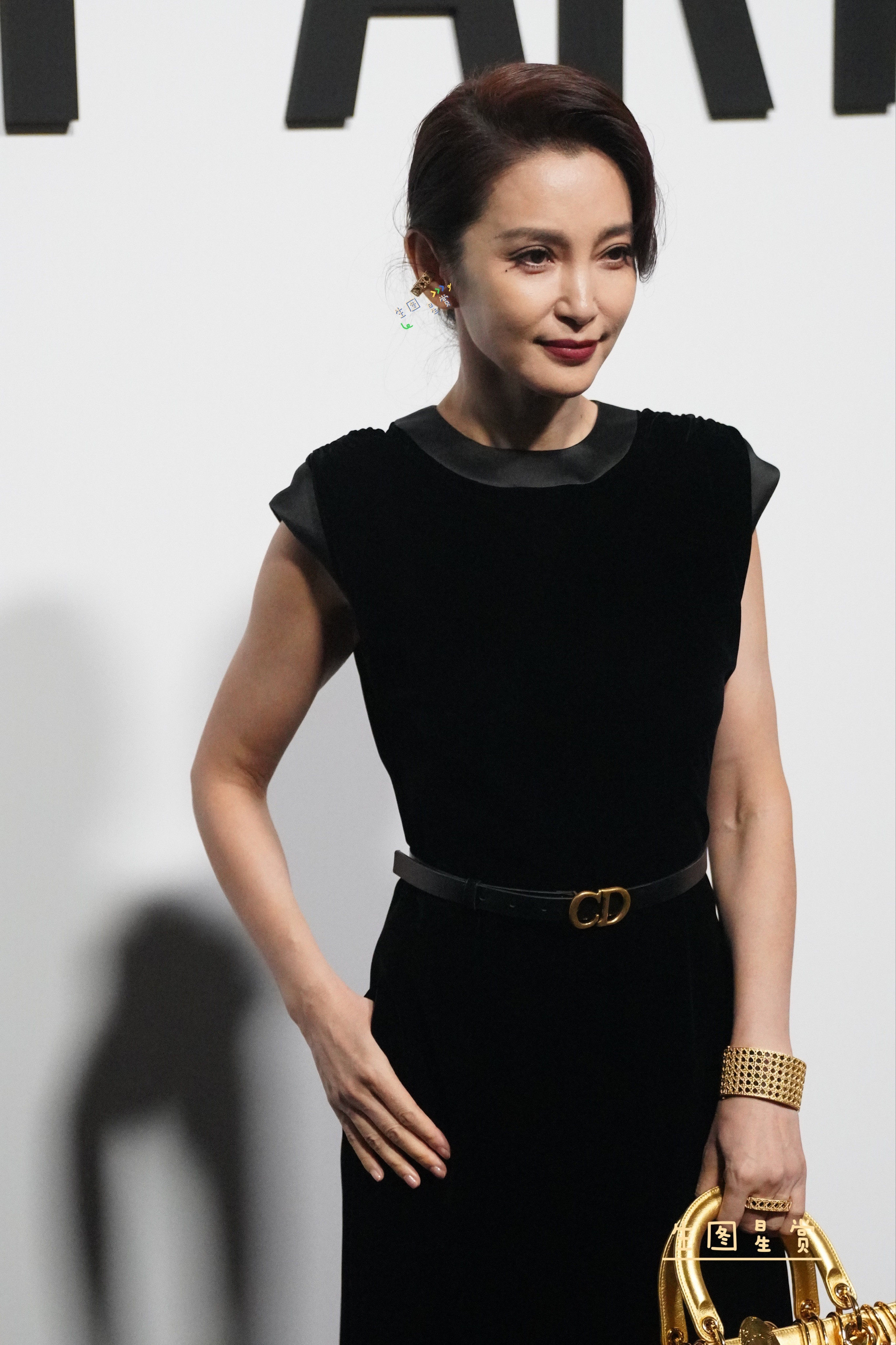 李冰冰朱珠王子文杨采钰×Dior上海展览生图