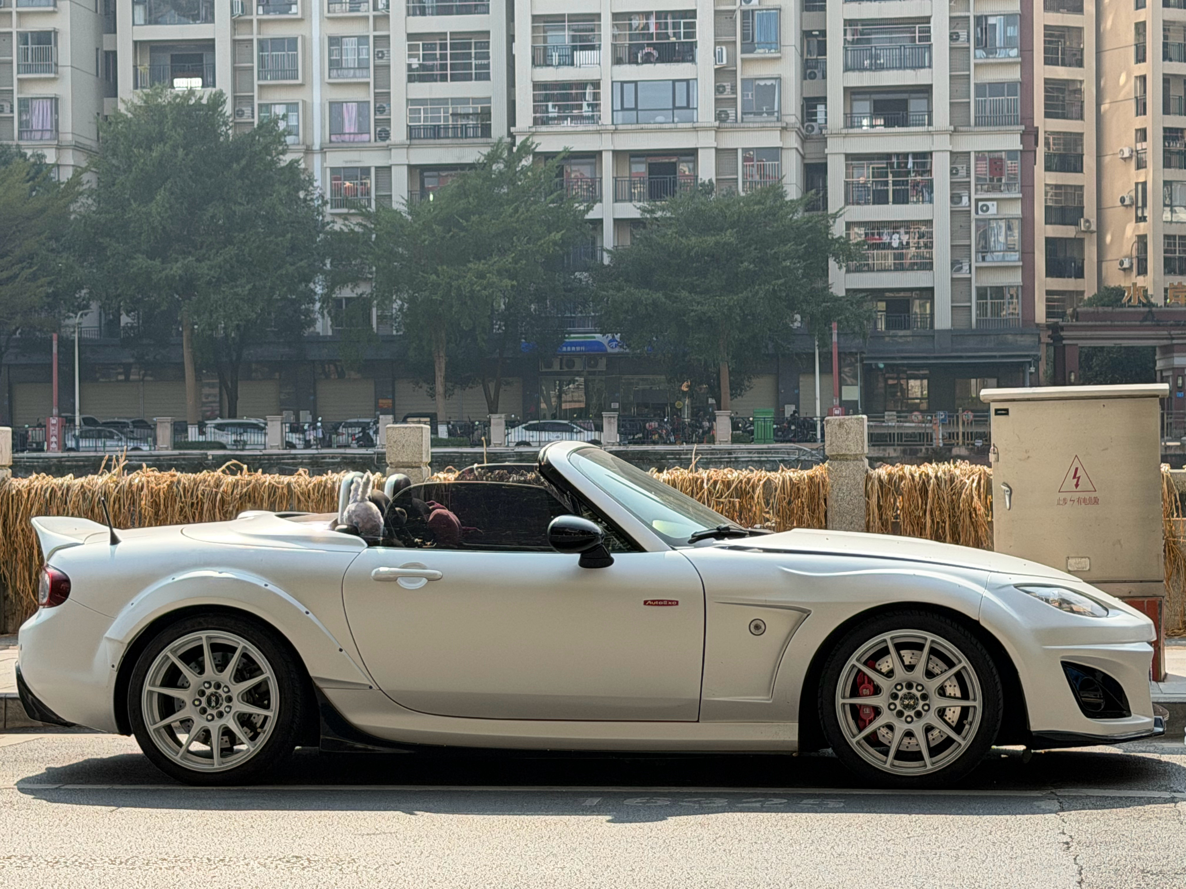 午后的阳光正好09年的马自达MX5NC还在现在依旧好看发变状态无敌，而且开起来