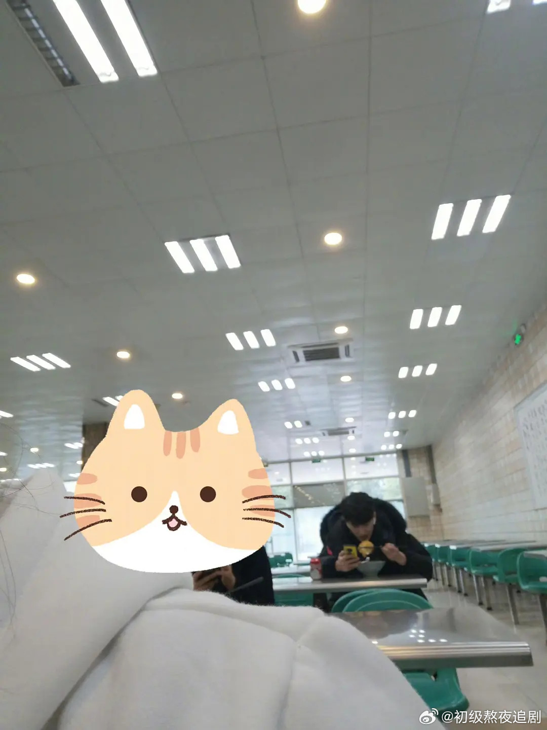 张凌赫的公司咋想的这个时候还要说他帅到被拍