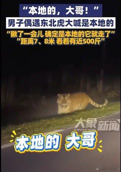 吉林一女子晚上打车回家，结果，司机开到一偏僻处，突然停车！女子一下就紧张起来，不