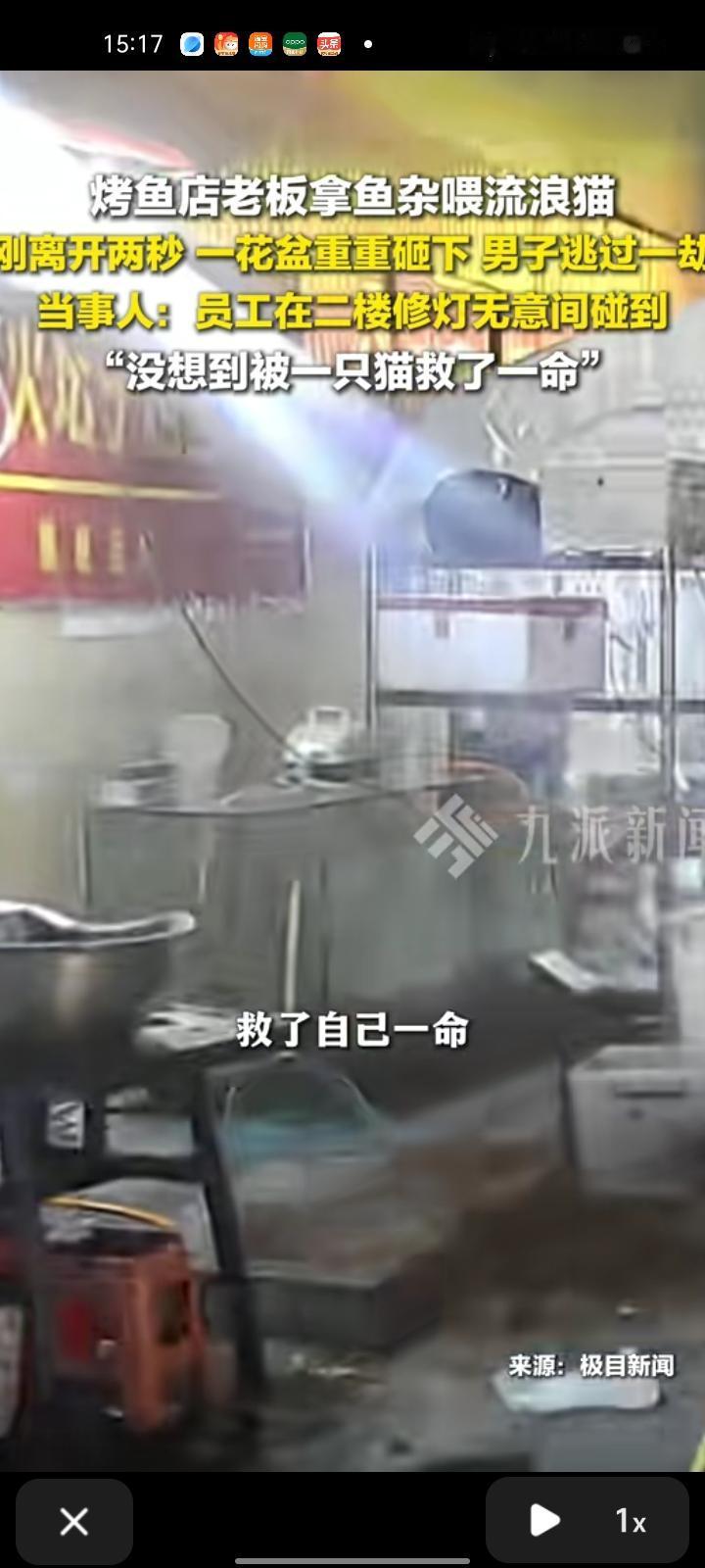 1月27日，贵州贵阳。烤鱼店老板在门口杀鱼，看到门口有流浪猫，就取了些鱼杂去喂。