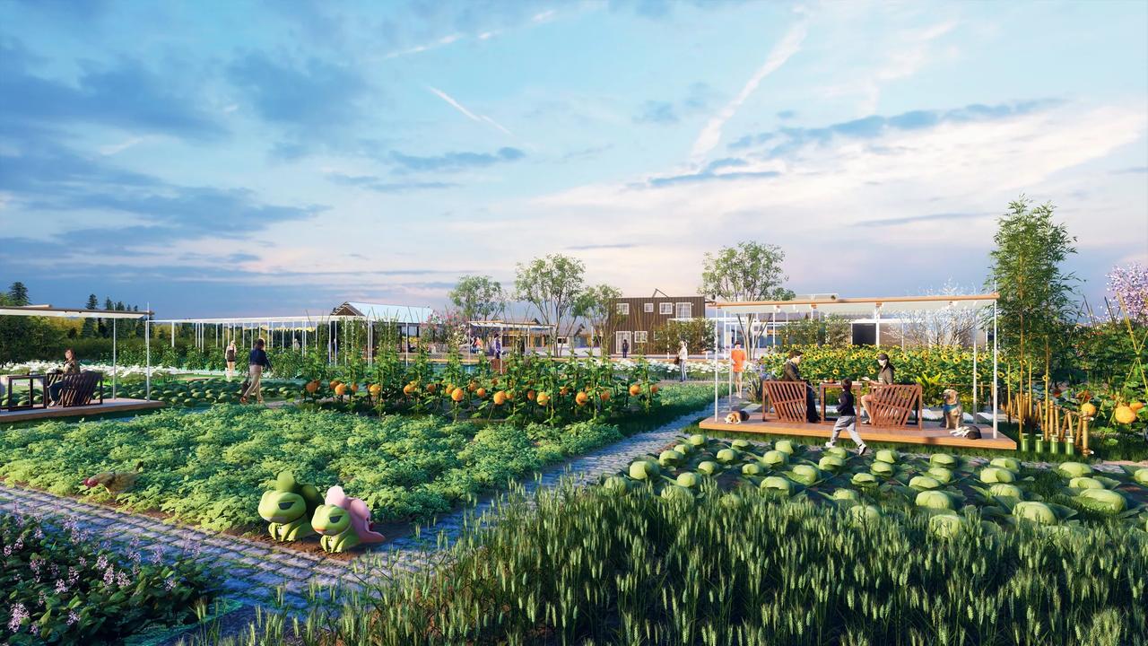 珠海高新区共享菜园太火了！1000元租一年，5天就抢光珠海高新区有家“悦生