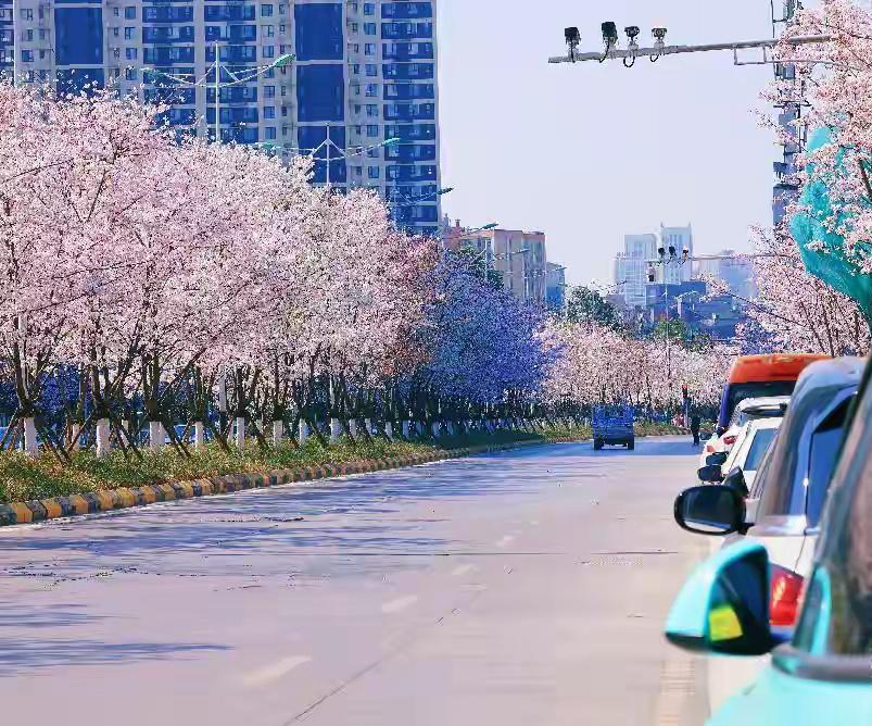 中式英语最近越来越流行，你知道多少呢，下面是我为大家整理的。carefully