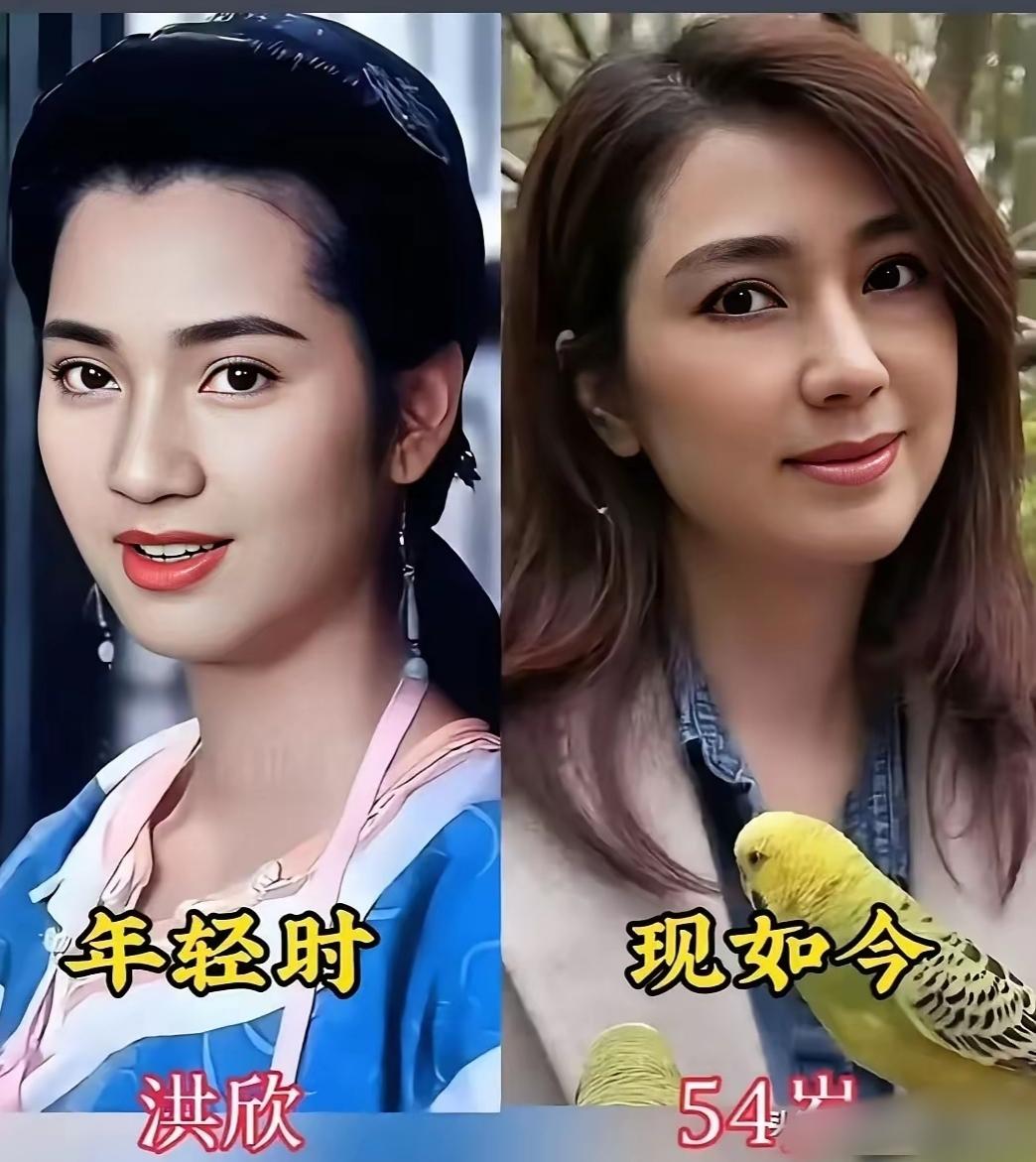 洪欣萧蔷林青霞三位童年女神，年轻时好漂亮呀，你更磕哪一位的颜呢？