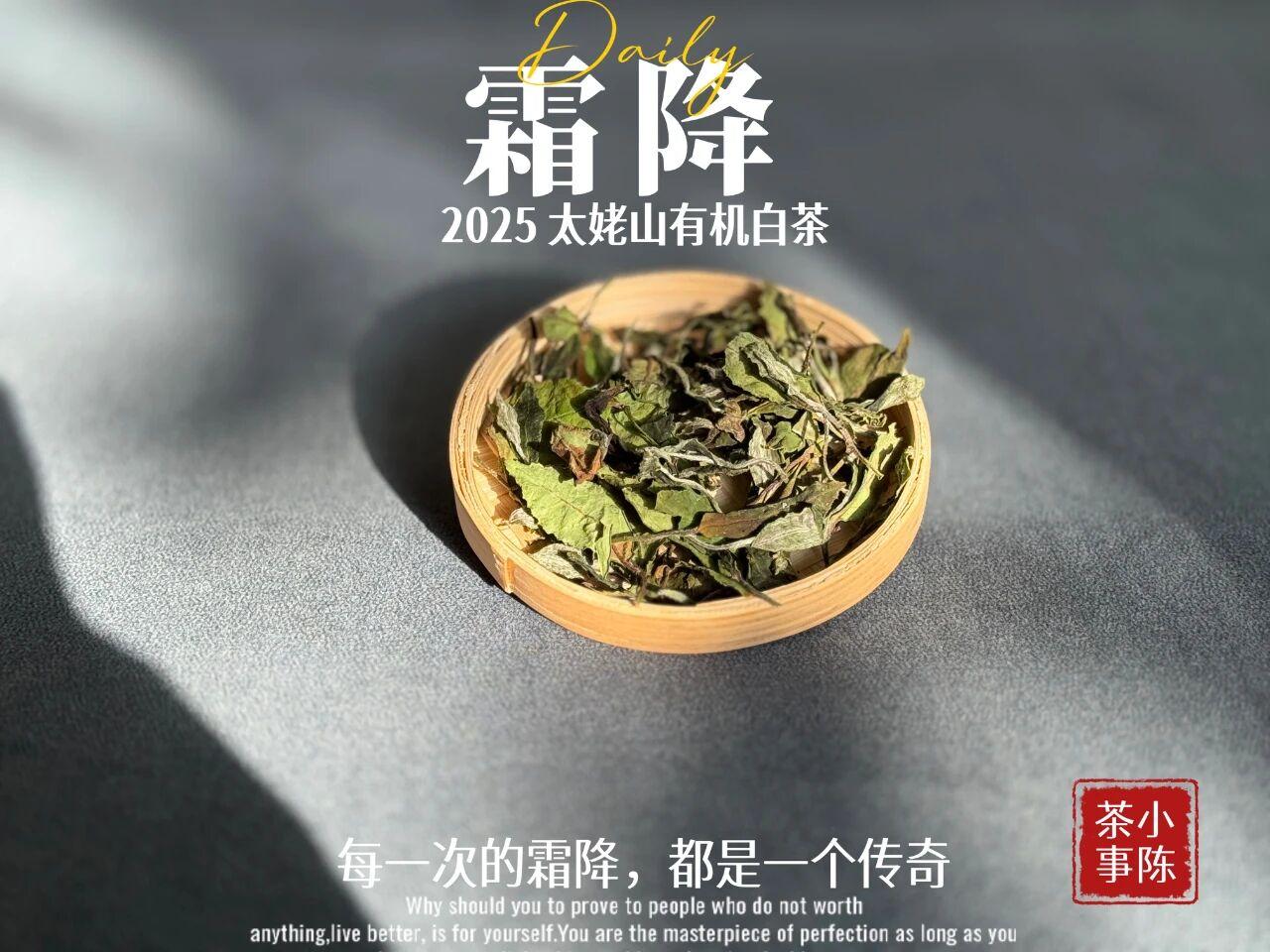 3款冷门但很惊艳的宝藏茶！盘点那些被严重低估的茶叶，冷门却很好喝，看看有你喝过
