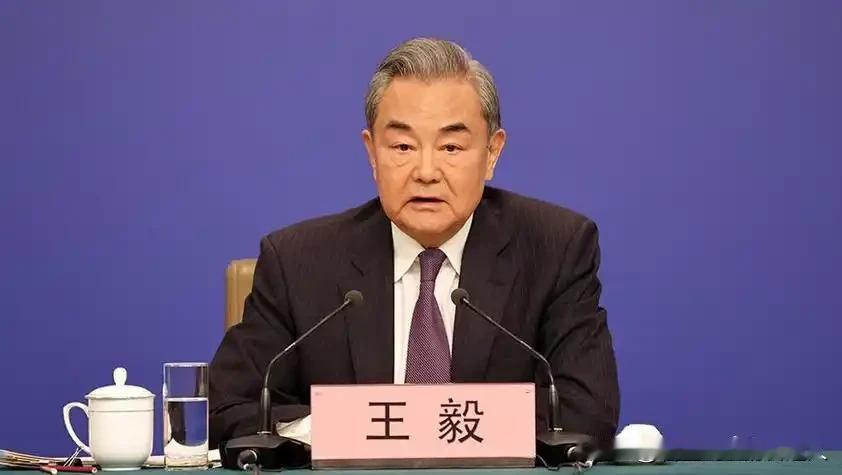 王毅坐在轮值主席台上，涅边贾站起来，手指越过整个会议厅直接戳向日本代表团，随后从