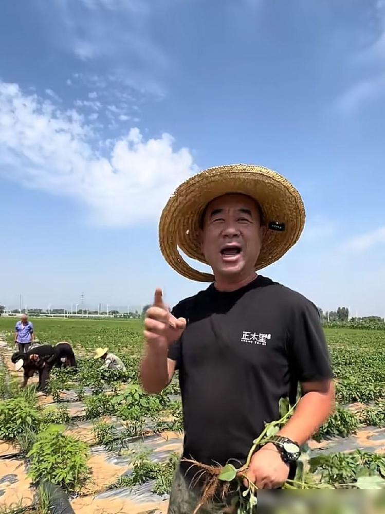 赵大伟辣椒酱成功上市啦，就在6月13日下午5点半的正太里！石家庄的朋友对赵大