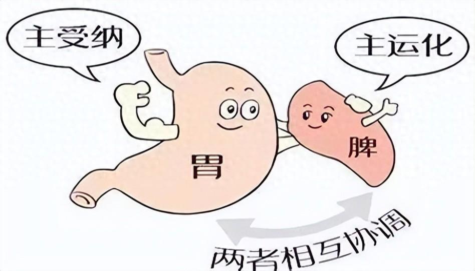 脾胃不好，用脾胃派开山鼻祖的经典方，从根上把脾胃养起来内容仅供参考，如有不适请